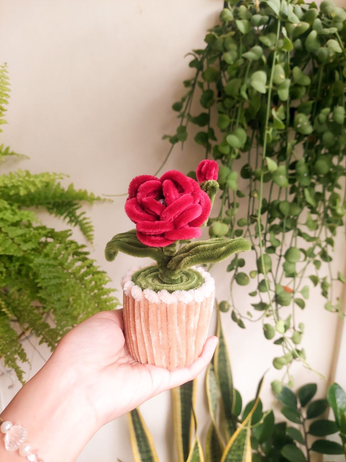 crimson velvet bloom crimson velvet bloom