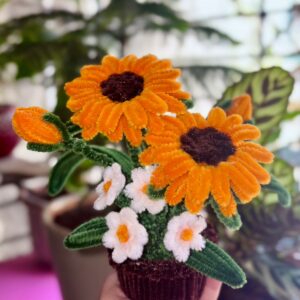 velvet meadow petite pot