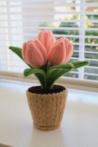 blush tulip trio