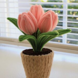 blush tulip trio