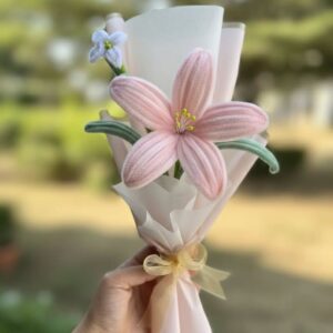 blush lily petite