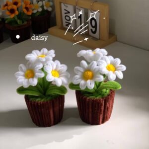 pure joy daisy minis