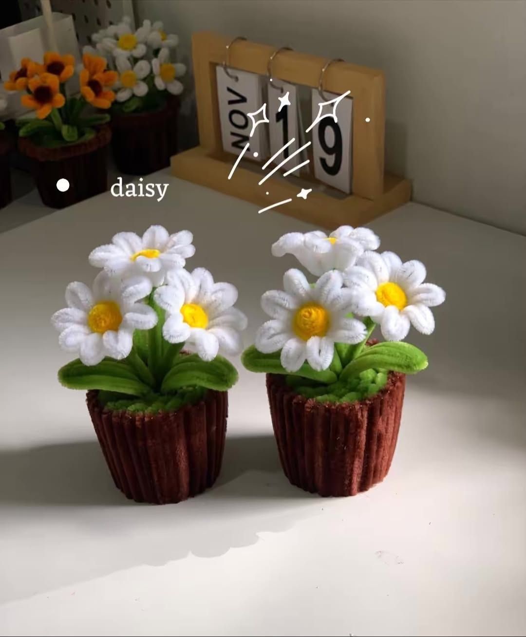 pure joy daisy minis pure joy daisy minis