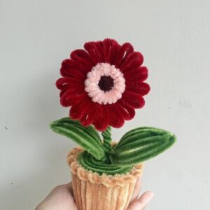 ruby gerbera petite